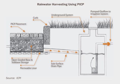 Greenhouse Design, Water From Air, Rainwater Harvesting System, Permeable Pavers, Landscape Plants, Landscape Construction, Rainwater Harvesting, Rain Water Collection, Water Resources