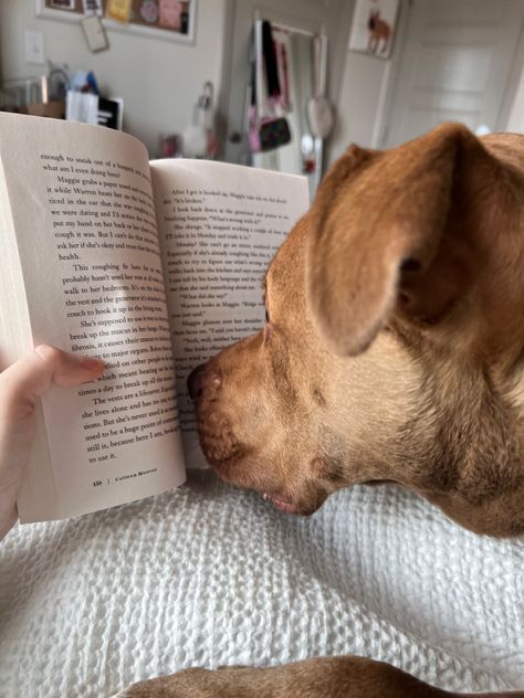 Dog And Book Aesthetic, Dog Lovers Aesthetic, Happy Dog Aesthetic, Guide Dog Aesthetic, Aesthetic Dog Pictures With Owner, College Dog Aesthetic, Dogs And Books Aesthetic, Dog Life Aesthetic, Owning A Dog Aesthetic