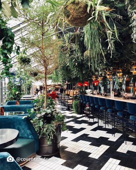 Theme Cafe, Wine Bar Design, London Restaurant, Jungle Decor, Themed Cafes, Palace Interior, Bar Interior Design, Instagram London, Bar Interior