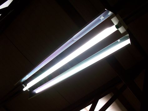 Eco fluorescent light. One fluorescent tube and three times the light! Fluorescent Lights, Fluorescent Lamp, Fluorescent Tube, Lighting Equipment, Fluorescent Light, Unique Lighting, Lighting Solutions, The Light, Blinds