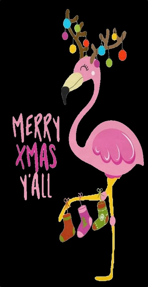 Flamingo Pictures, Flamingo Craft, Flamingo Illustration, Christmas Flamingo, Fancy Flamingo, Florida Christmas, Beachy Christmas, Flamingo Love, Flamingo Decor