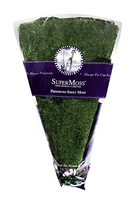 Amazon.com: SuperMoss (22460) Moss Christmas Tree Skirt, Fresh Green, 36" (1 unit): Garden & Outdoor Moss Christmas Tree, Moss Christmas, Moss Tree, Christmas Skirt, Discount Banner, Tree Skirt, Fresh Green, Discount Price, Diy Holiday