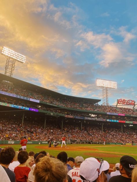 American Teenager, Red Sox Game, American Honey, Stl Cardinals, Cubs Baseball, Baseball Stadium, Lust For Life, Dream Lifestyle, American Dream