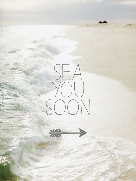 Sea you soon Dominicans Be Like, Sanity Quotes, Summer Captions, Sea Quotes, Gif Disney, Ocean Quotes, Disney Bags, Good Day Song, Beach Quotes