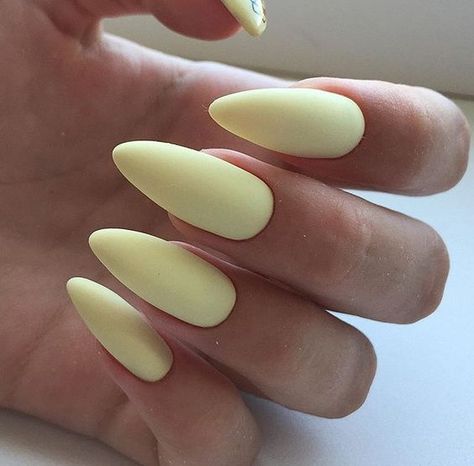 Solid Color Summer Nails, Color Summer Nails, Nail Color Trends, Classy Acrylic Nails, Rose Nails, Almond Acrylic Nails, Cat Eye Nails, Hot Nails, Yellow Nails