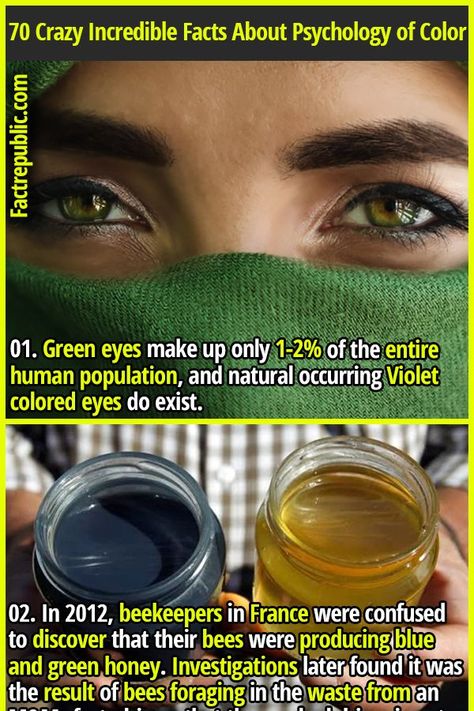 Facts About Psychology, Green Eyes Facts, Eyes Facts, Psychology Of Color, About Psychology, Human Population, Eye Facts, Fact Republic, Curious Facts