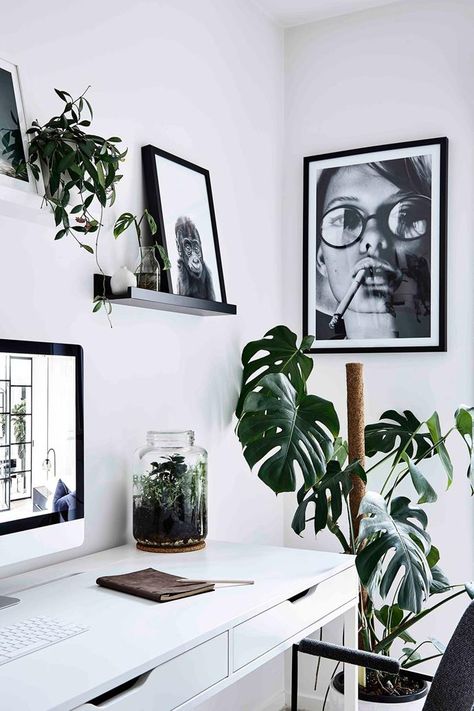 Scandi Furniture, Black And White Office, Scandinavian Style Home, Interior Design Courses, Melbourne House, White Office, Office Plants, Monstera Deliciosa, Scandinavian Home