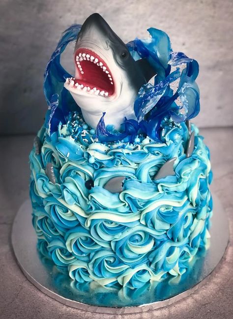 Megladon Shark Cake, Easy Shark Cake Ideas, Shark Head Cake, Shark Birthday Cake Ideas, Shark Party Cake, Easy Shark Cake, Shark Birthday Cakes For Boys, Megalodon Cake, Shark Cookie Cake