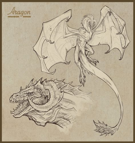 Dragon Anatomy, Realistic Dragon, Types Of Dragons, Dragon Artwork Fantasy, Targaryen Art, Monster Drawing, Dragon Sketch, Gra O Tron, Fantasy Beasts