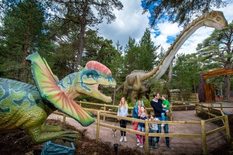 Dinosaur Theme Park, Dino Park, Dinosaur Park, Forest Adventure, The Good Dinosaur, Ancient Forest, Dinosaur Theme, London Bus, Adventure Park