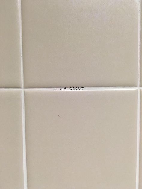 I Am Grout Funny Picture Gallery, Bathroom Graffiti, Funny Sites, You Had One Job, Joke Of The Day, Fresh Memes, One Job, Beautiful Bathrooms, Grout