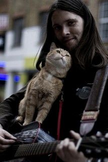 Mews and Nips: Real Men Love Cats Edition A Street Cat Named Bob, Street Cat Bob, Patricia Highsmith, Life Back On Track, Street Cat, Purpose In Life, Ginger Cat, Red Cat, Cat People