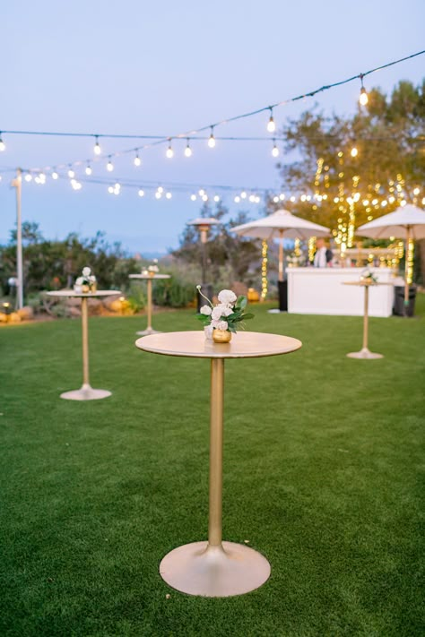 Wedding Entrance Drinks Table, Tent Cocktail Party, Backyard Cocktail Hour Wedding, Micro Wedding Cocktail Reception, Cocktail Hour Style Wedding, Neutral Outdoor Wedding Decor, Cocktail Hour Backyard Wedding, Cocktail Outdoor Wedding, Cocktail Party Outdoor