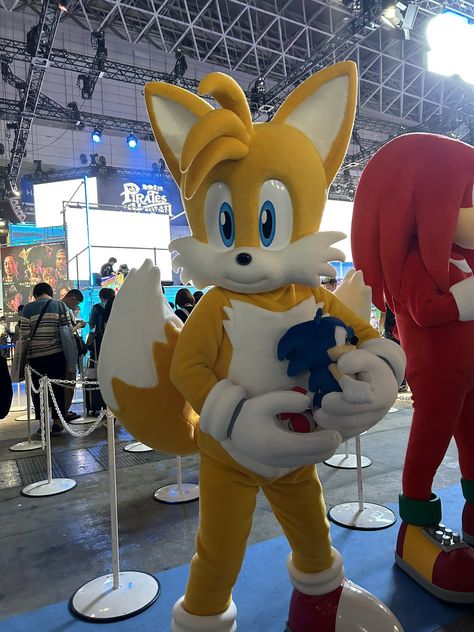 Sonic Tails Costume Women, Tails The Fox Sonic, Tails Cosplay, Tails Costume, Silly Sonic, Tails Fanart, Cheerleading Picture Poses, Sonic Images, Miles Prower