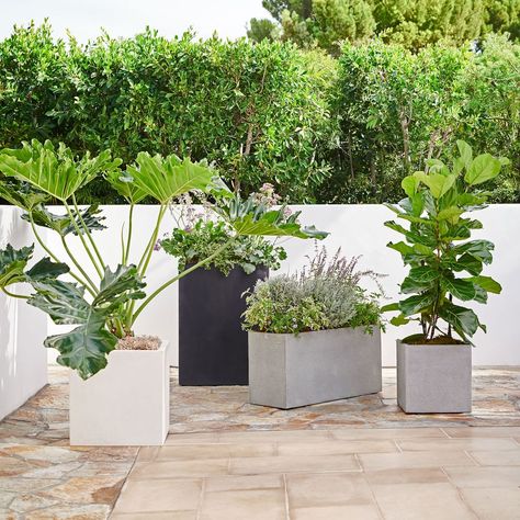 Hanging planters outdoor