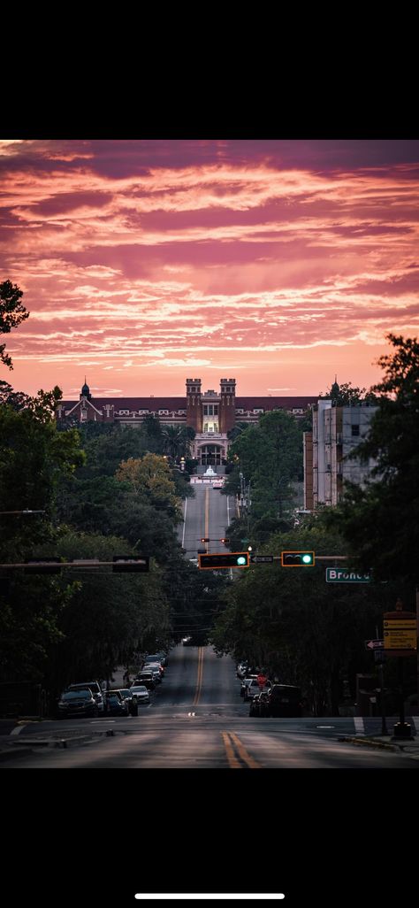 Fsu Aesthetic, Fsu Wallpaper, Fsu Vs Uf, College Fits, College Stuff, Dream College, Dream School, Florida State University, Florida State