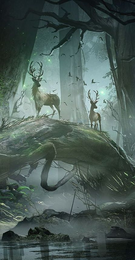 A place where the deer roamed as if always waiting for something to happen and the birds would fly from tree to tree, hoping to not be seen... Deer In The Woods, Creature Fantasy, Fantasy Forest, 다크 판타지, Fantasy Places, Fantasy Setting, Arte Fantasy, 판타지 아트, Fantasy Inspiration