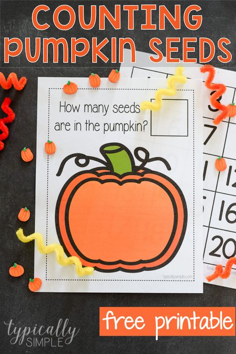 Counting pumpkin seeds is such a fun activity to practice math skills! Use this printable to create a low-prep math activity perfect for fall! #learningactivities #kindergartenmath #preschoolmath #freeprintable Pumpkin Seed Activities, Preschool Pumpkins, Classroom Structure, October Themes, Pumpkin Investigation, Recognizing Numbers, Pumpkins Kindergarten, Math Centres, Pumpkin Math