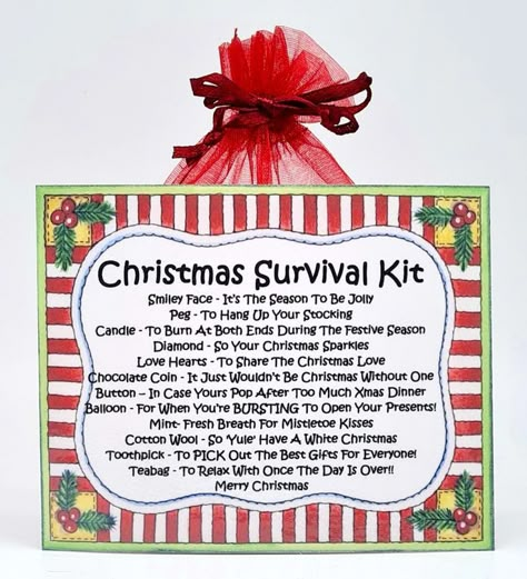 Christmas Survival Kit, New Job Survival Kit, Holiday Survival Kit, Birthday Survival Kit, Surviving Christmas, Secret Santa Gift Exchange, Apology Gifts, Good Luck New Job, Xmas Dinner