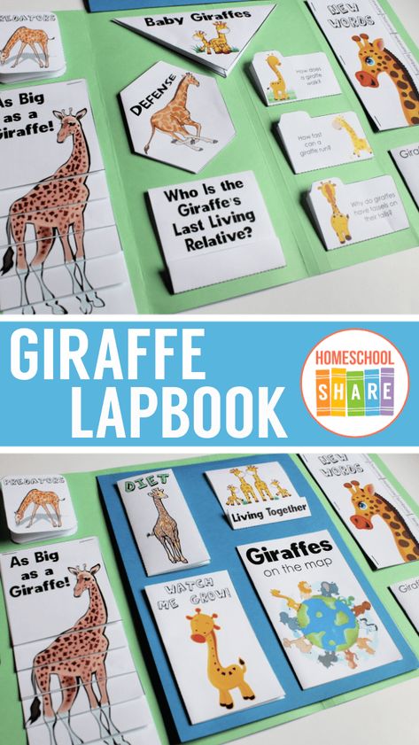 Giraffes Lapbook - Homeschool Share Sassafras Zoology, Animal Lapbook, Giraffe Running, Interactive Lapbooks, Giraffe Facts, Lapbook Ideas, 4h Ideas, Lap Books, Zoo Activities