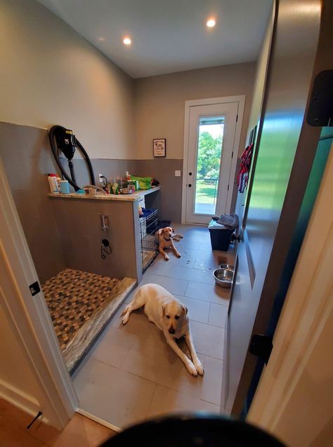 Inside Dog Area, Dog Space, Big Dog Beds, Dog Spaces, Dog Room, Tiny Dog, Pet Friendly House, Dog Area, Dog Rooms