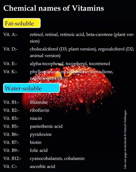 Chemical names of vitamins Chemical Names Of Vitamins, Retinoic Acid, Study Flashcards, Cool Science Facts, Pantothenic Acid, Beta Carotene, Science Facts, Pharmacist, Fun Science