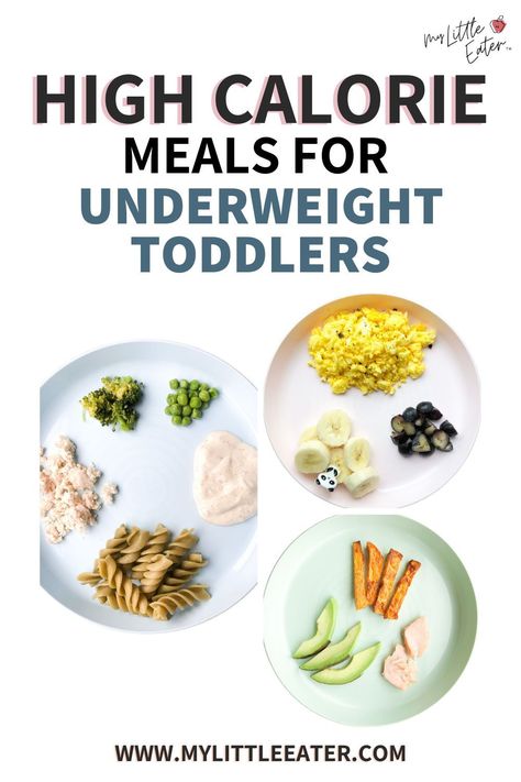 Vitamin Packed Meals, Fatty Foods For Toddlers, Toddler Nutrition Guide, High Calorie Meals For Toddlers, High Calorie Snacks For Toddlers, High Calorie Toddler Snacks, High Fat Toddler Food, High Fat Snacks For Kids, High Fat Foods For Toddlers