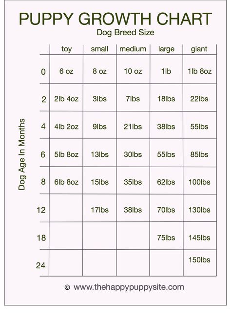 Puppy Growth Chart, Dog Breeding Business, Labrador Puppy Training, Puppy Development, Puppy Stages, Weight Charts, Growth Charts, Pregnant Dog, Aggressive Dog