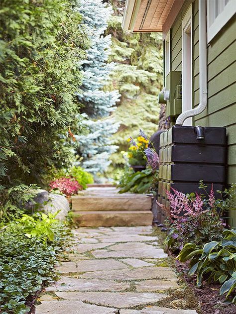 Catch the Rain Garden Problems, Small Yard Landscaping, Small Garden Landscape, Rain Barrels, Sloped Garden, Garden Solutions, Ground Cover Plants, Rain Barrel, Small Yard