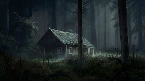 Z: Chapter One | LetterPile Cabin In The Woods Aesthetic, Fantasy Cabin, Scary Woods, Creepy Woods, Old Cabin, Cabin Aesthetic, Creepy Houses, Forest Cabin, Bg Design