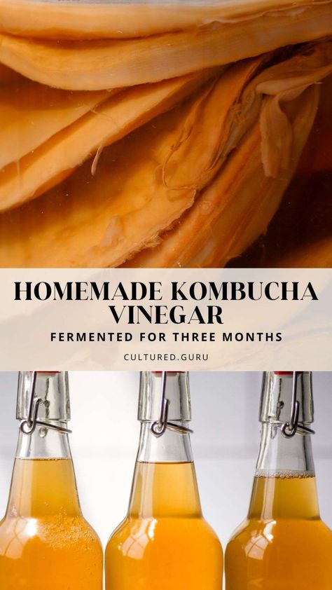 Kombucha Vinegar, How To Make A Scoby For Kombucha, Kombucha Second Ferment Recipes, Brewing Kombucha, What To Do With Extra Kombucha Scoby, Kombucha 2nd Fermentation, How To Make Vinegar, Healthade Kombucha, Fermented Vegetables Recipes