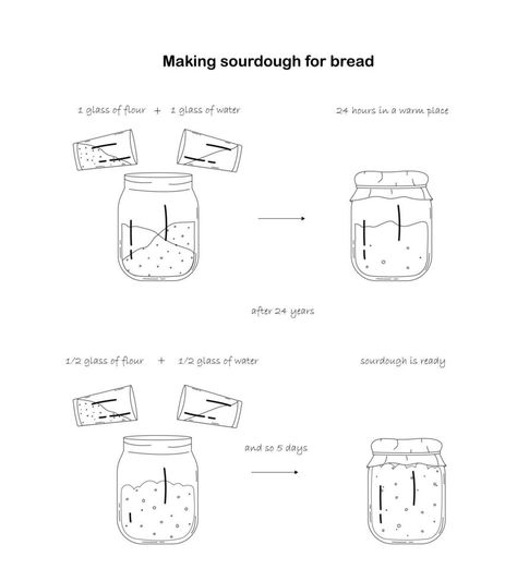 Step-by-step preparation of sourdough starter. Sourdough for baking bread. Outline black and white illustration. Vector illustration Sourdough Illustration, Starter Sourdough, Advertisement Illustration, Baking Bread, White Illustration, Sourdough Recipes, Sourdough Starter, Black And White Illustration, Illustration Vector