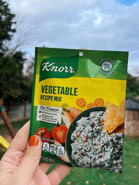 Knorrs Vegetable Mix Recipes, Knorr Vegetable Soup Mix Substitute, Knorr Vegetable Soup Mix Recipes, Knorr Vegetable Mix Copycat, Knorr Dip Recipes, Knorr Vegetable Mix Recipes, Knorr Veggie Dip Recipe, Knorr Vegetable Dip Recipe, Knorr Vegetable Dip