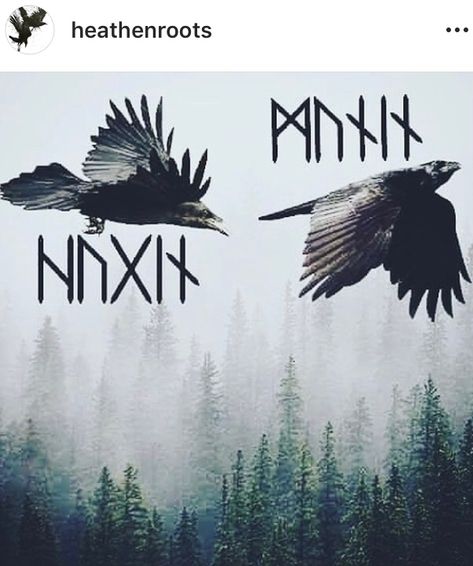 Odin is always watching #huginn #muninn #huginnandmuninn #odin #odinsravens #ravens #norse #nordic #viking #vikings #valhalla #odinism #asatru #vikinglife #heathen #heathensofig Viking Sleeve, Fantasy Prompts, Black Crow Tattoos, Crow Tattoos, Younger Futhark, Vikings Valhalla, Huginn And Muninn, Odin's Ravens, Final Countdown