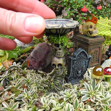 Fairy Garden Design Ideas, Halloween Fairy Garden, Halloween Fairy, Fairy Garden Designs, Fairy Garden Crafts, Diy Halloween Decor, Fairy Furniture, Halloween Miniatures, Halloween Garden