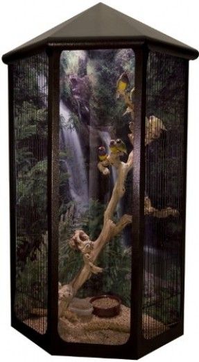 Corner Bird Cage - Foter Bird Enclosure, Indoor Aviary, Cool Bird Houses, Budgie Cage, Diy Bird Cage, Birds Cage, Parrot Pet, Bird Aviary, Parrot Cage