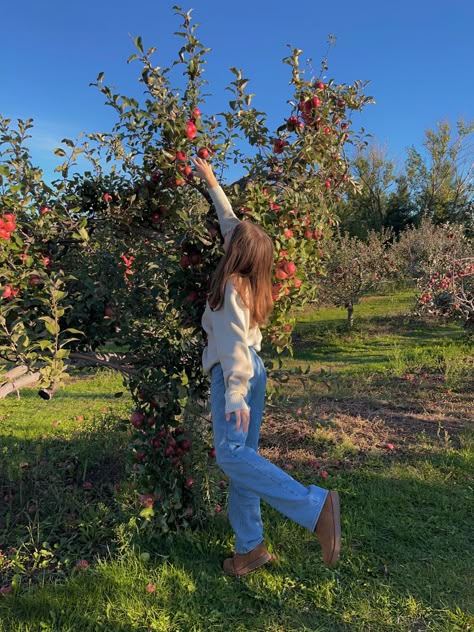 apple orchard photo shoot pumpkin sweaters idea Apple Picking Inspo Pics, Apple Orchard Picture Ideas, Apple Hill Photoshoot, Cute Apple Picking Photos, Apple Orchard Poses, Fall Apple Orchard Photo Shoot, Pumpkin Patch Photoshoot Ideas, Apple Picking Poses, Faceless Pic Ideas