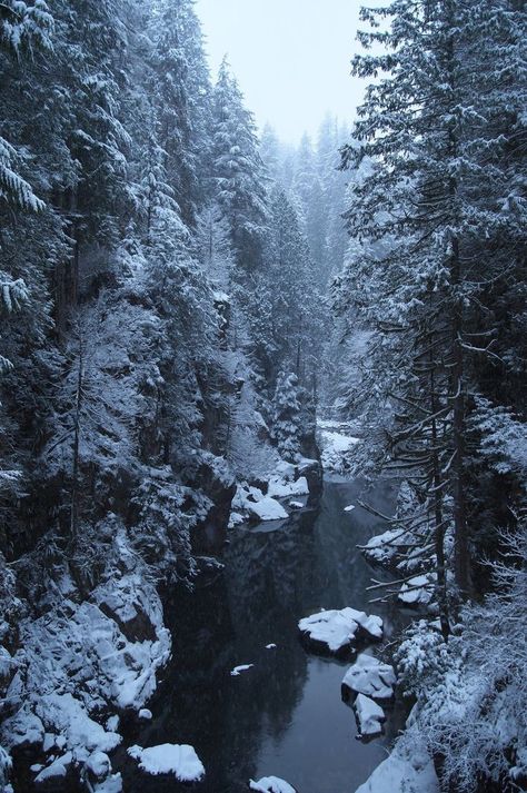 Dark Forest Aesthetic, Snow Night, Deep Freeze, Russian Winter, Dark Landscape, Snow Forest, Black And White Art Drawing, Snowy Forest, Fantasy Forest