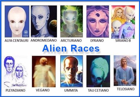 What Star System are you Originally From? — A Starseed | by Muang'Akili Tugmakvu | Broader Insights | Medium Reptilian People, Zeta Reticuli, Types Of Aliens, Alien Videos, Alien Pictures, Aliens History, Fake History, Fantasy Writing, Civilization Beyond Earth