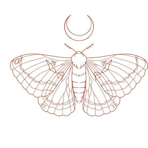 Moth Tattoo Fine Line, Fine Line Moth Tattoo, Moth Tattoo Outline, Moth Sketches, Moth Drawing Tattoo, Moth Tattoo Stencil, Moth Line Art, Moth Sketch, Moth Tattoos