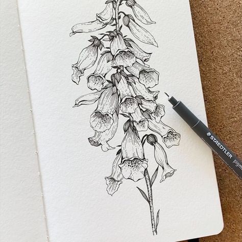 Alice on Instagram: “▫️ Foxglove ▫️ . . Yesterday I opened a book and I’ve chosen at random a flowers: Foxglove 🖤 and today finally I finished it! . Slide to…” Pen Illustration, Collage Drawing, Pen Art Drawings, Flower Art Drawing, Tech Art, Dragon Tattoo Designs, Flower Sketches, Floral Drawing, Pen Sketch