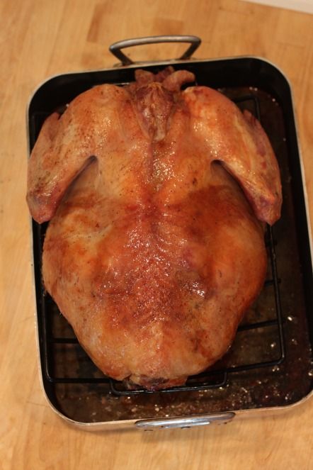 slow roasted 20 pound turkey SEE THIS ONE Convection Oven Turkey, Oven Turkey Recipes, Convection Oven Baking, Cooking A Frozen Turkey, Butter Turkey, Convection Oven Cooking, Convection Oven Recipes, New Oven, Frozen Turkey