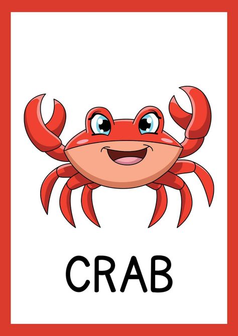 Sea Animals Flashcards, Ocean Theme Preschool, French Worksheets, Animal Flashcards, School Cartoon, Learning English For Kids, Flashcards For Kids, Alphabet Activities Preschool