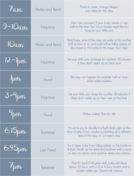 3 Month Old Baby Sleep and Feeding Schedules 2month Old Baby Schedule, One Month Schedule, 3 Month Old Daily Schedule, 3month Old Schedule, 2 Month Old Feeding Schedule, One Month Old Feeding Schedule, Feeding Schedule For 2 Month Old, Four Month Old Schedule, 3 Month Baby Schedule