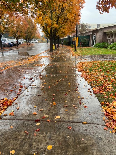 Autumn Rainy Days, Rainy October Day, Rainy Fall Weather, Summer Into Fall Aesthetic, Autumn Weather Aesthetic, Rainy Halloween Aesthetic, Rainy Walk Aesthetic, Rainy Fall Day Autumn Rain, Autumn Cozy Rainy Days