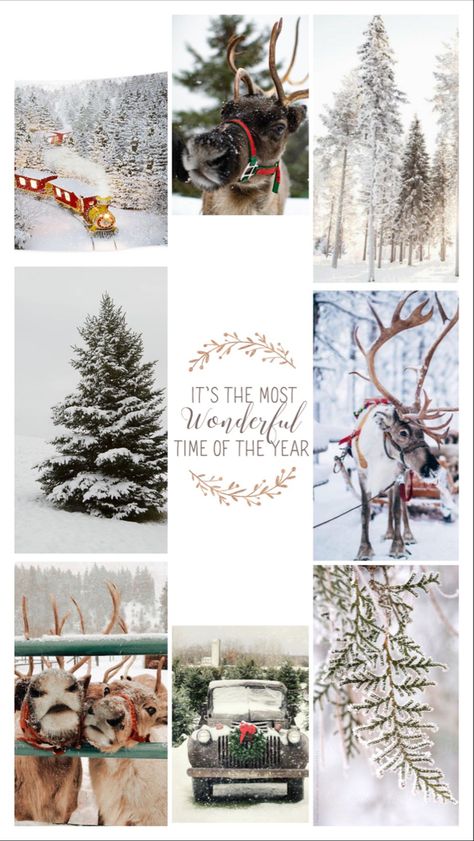 Rustic Christmas Wallpaper, Christmas Phone Backgrounds, Winter Wonderland Card, Christmas Wallpaper Iphone Cute, Icons Ig, Preppy Wallpapers, December Wallpaper, Girl Wallpapers, Ig Highlights