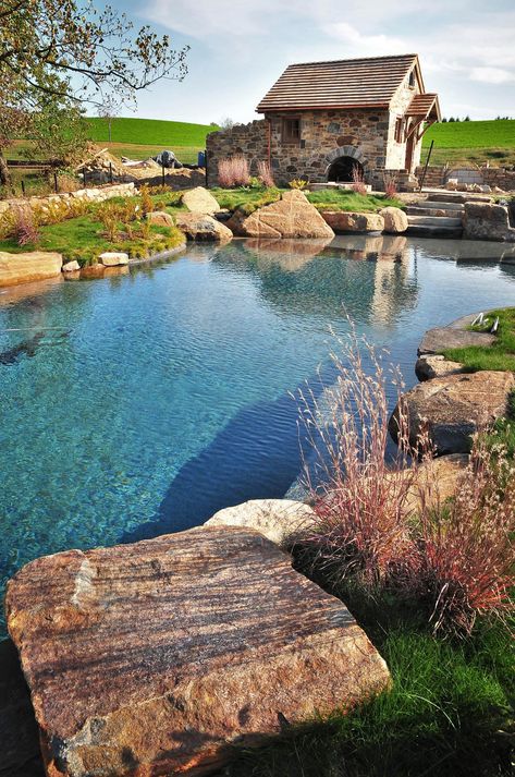 Kennett Square Pool House – Archer & Buchanan Architecture, Ltd. Cottagecore Pool, Cody Pools, Pool Backyard Design, Recreational Pond, Bio Pool, Square Pool, Indoor Pond, Beach Entry Pool, Swimming Ponds