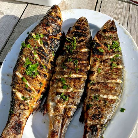 Greek Grilled Fish, Grilled Fish Salad, Greek Seafood Dishes, Oven Grilled Fish Recipes, Mediterranean Grilled Fish, Grilled Fish Aesthetic, Japanese Grilled Fish, Greek Fish Recipes, Grilled Menu