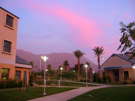 Uc Riverside Aesthetic, Riverside Aesthetic, Uc Riverside, Education University, Med School, University Of California, Medical School, Monument Valley, Dream Life