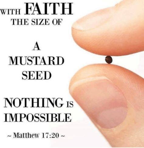 Beverly Ennis Hoyle, Matthew 17 20, Coffee Girl, Happy Morning, Biblical Quotes, Faith Over Fear, Favorite Bible Verses, Girl Talk, Mustard Seed